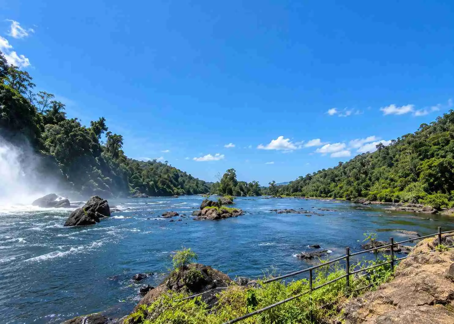Chalakudy River and Riverine Forest
